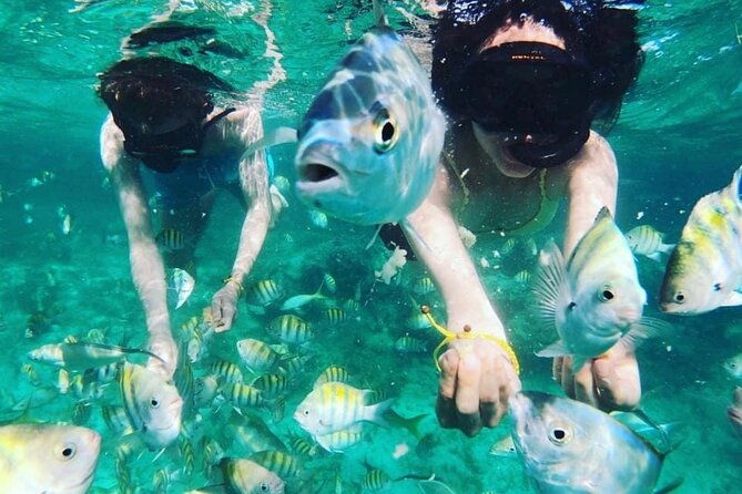 catamaran-party-boat-half-day-trip-with-snorkeling-and-natural-pool