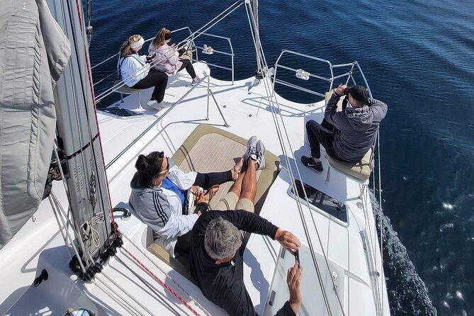 catamaran-sailing-cruise-in-monterey