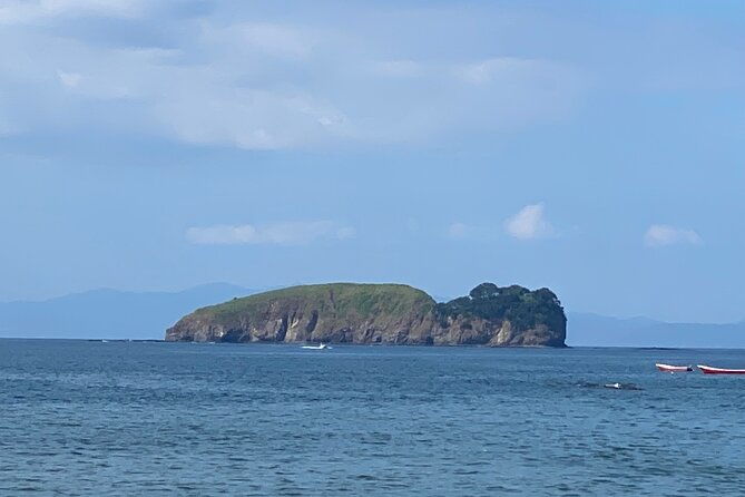 catamaran-tour-from-playa-del-coco-trimaran