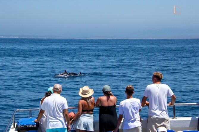 cetacean-watching-tour