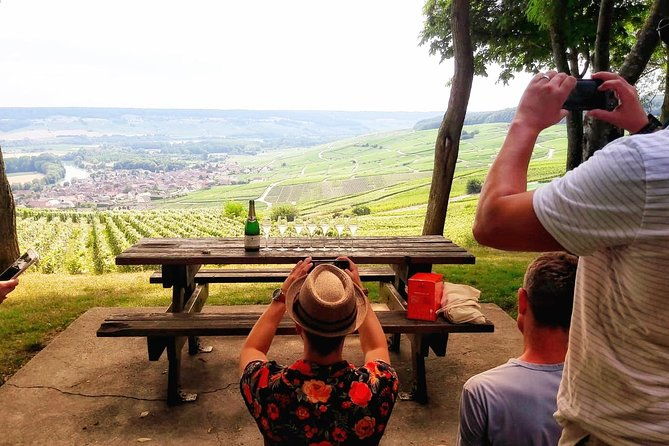 champagne-cellars-vineyards-tour-from-reims-full-day
