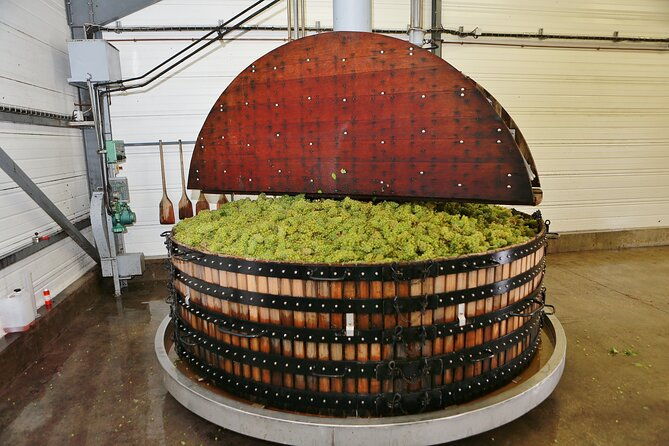 champagne-guy-de-chassey-premium-tour-and-tasting