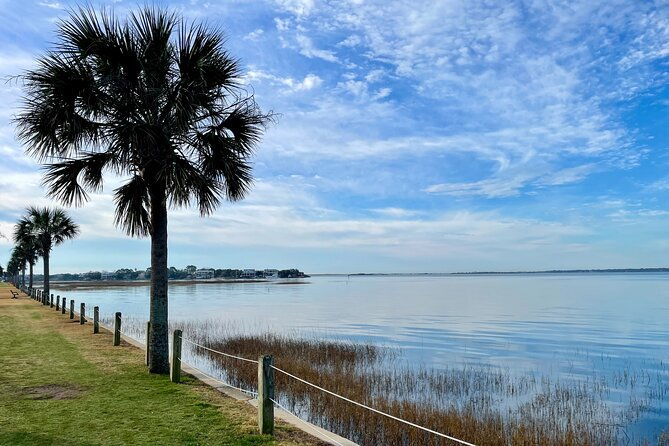 charleston-bird-watching-tour