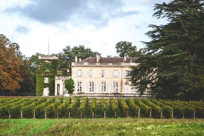 chateau-du-taillan-and-park-including-wine-tasting-tour