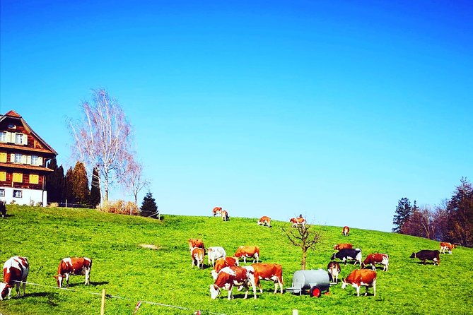 cheese-chocolate-and-wine-in-the-bern-region-from-luzern