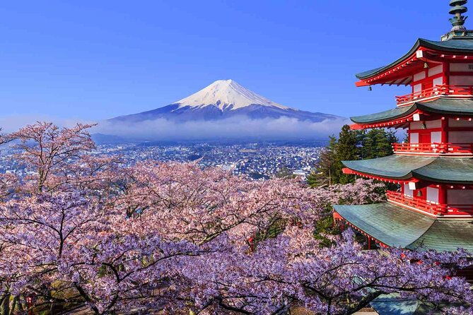 cherry-blossom-mount-fuji-customizable-luxury-vehicle-guided-tour