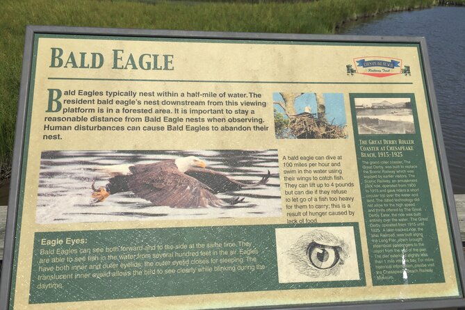 chesapeake-beach-guided-walking-tour-railway-trail