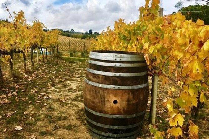 chianti-wine-and-vinci-half-day-small-group-tour-from-lucca