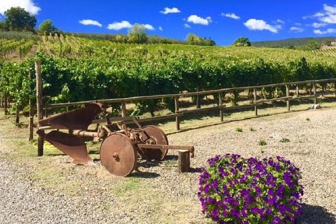 chianti-wine-and-vinci-half-day-small-group-tour-from-montecatini-terme