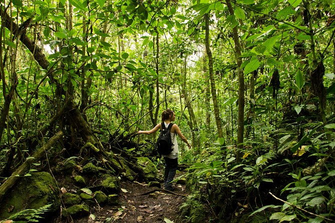 chicaque-national-park