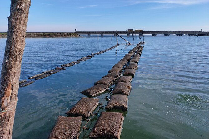 chioggia-aquaculture-secrets-tours-of-the-lagoon