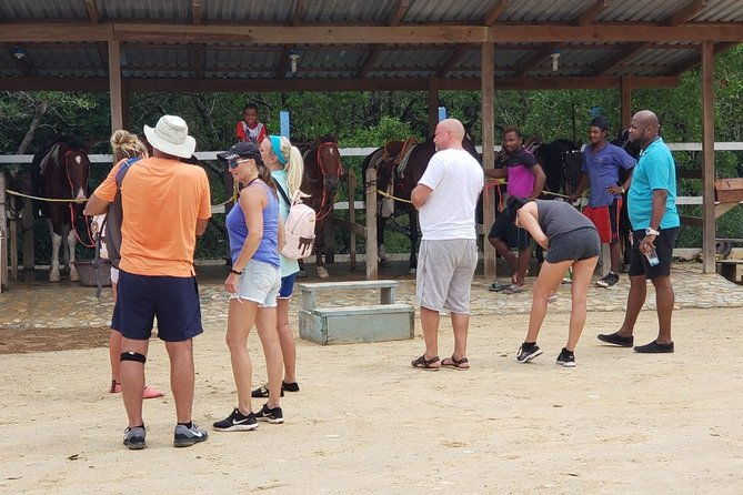 chocolate-factorywildlife-encountersightseeingbeach-in-roatan