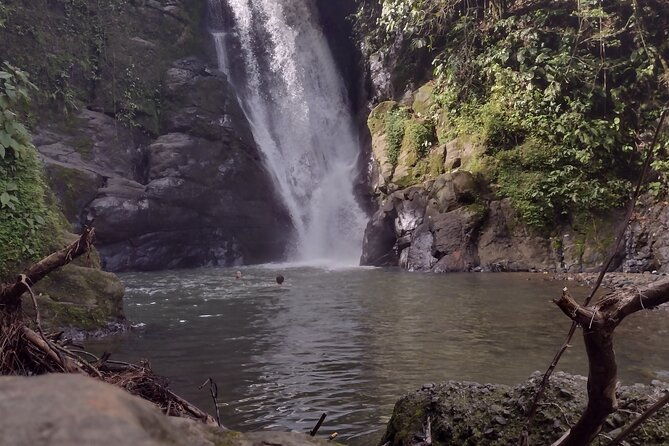 chocolate-native-indigenous-tour-and-waterfall-adventure