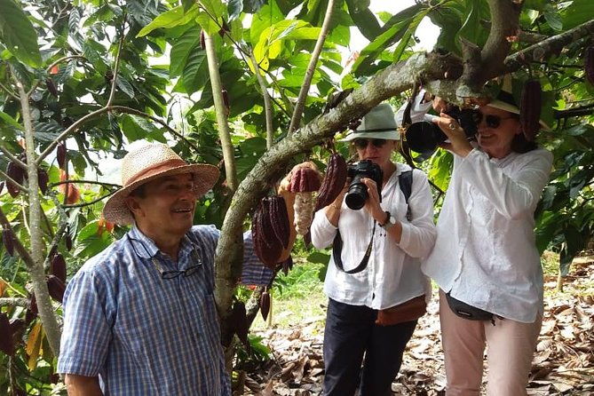 chocolate-tour-and-tropical-fruits