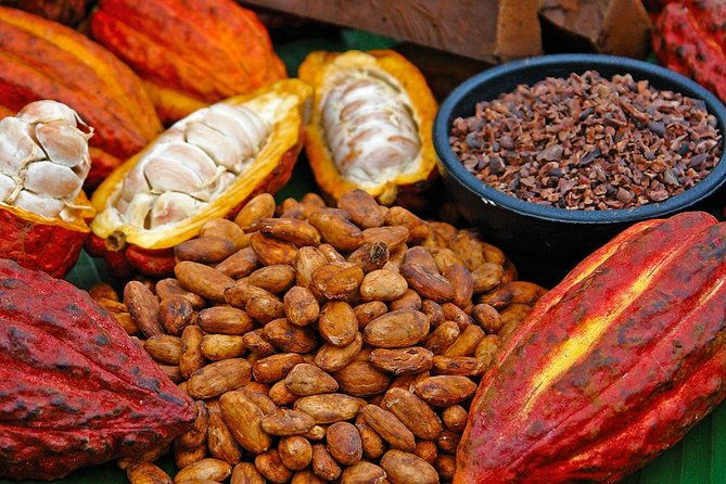 chocolate-tour-at-tirimbina-reserve-private-tour-from-san-jose