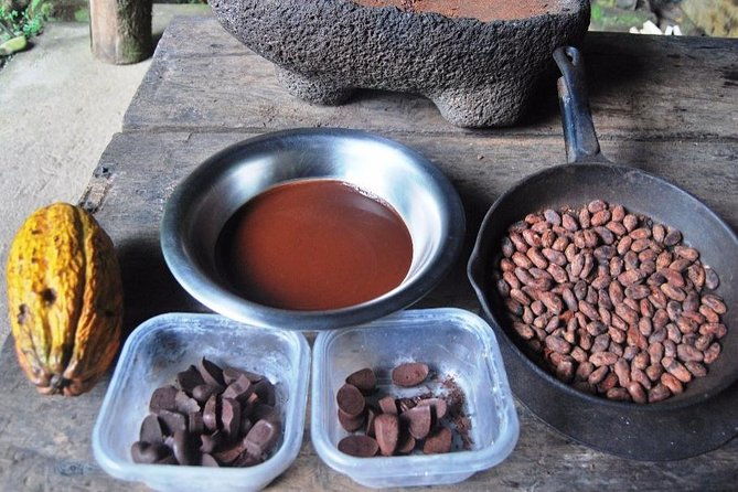 chocolate-tour-in-indigenous-area-bribri-cahuita-national-park