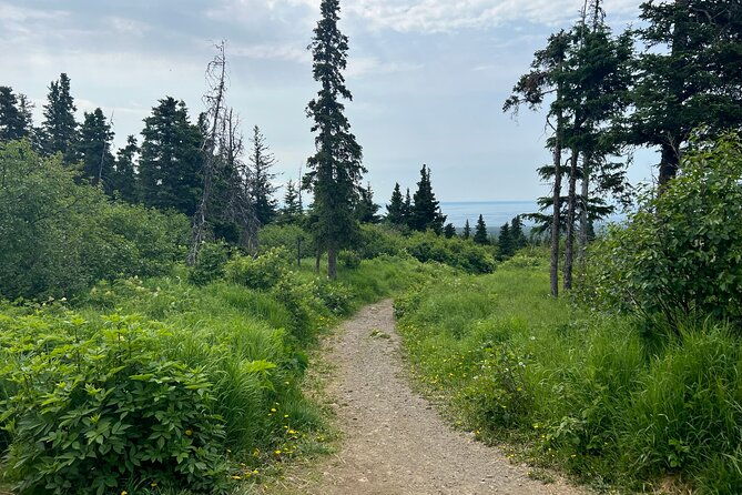 chugach-state-park-nature-walk
