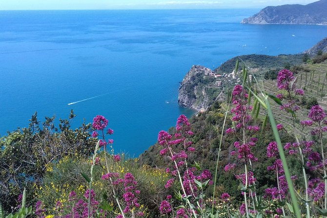 cinque-terre-unforgettable-hiking-experience