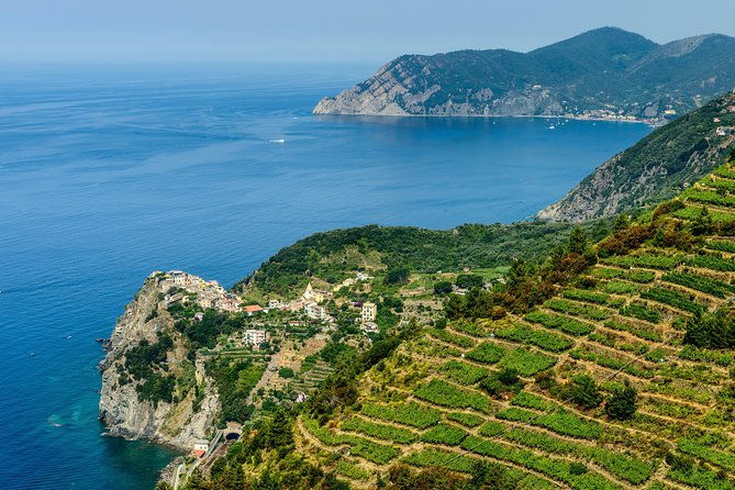 cinqueterre-and-pisa-shore-excursion-from-livorno
