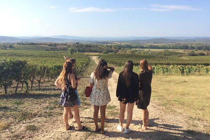cite-de-carcassonne-and-wine-tasting-private-day-tour-from-toulouse