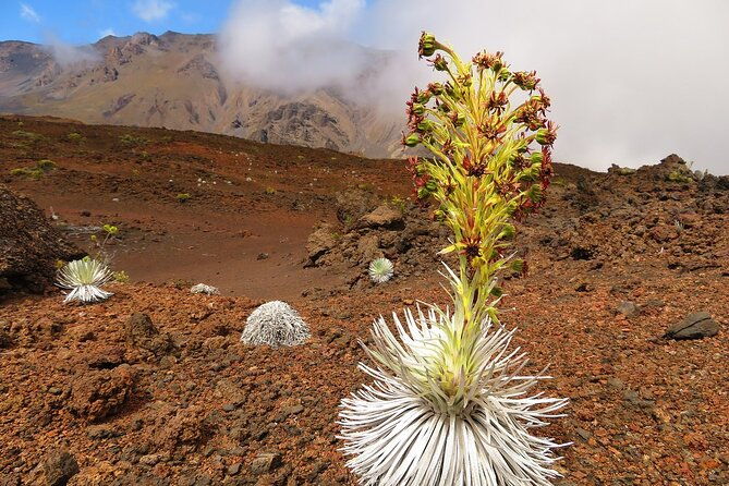 classic-haleakala-sunrise-tour