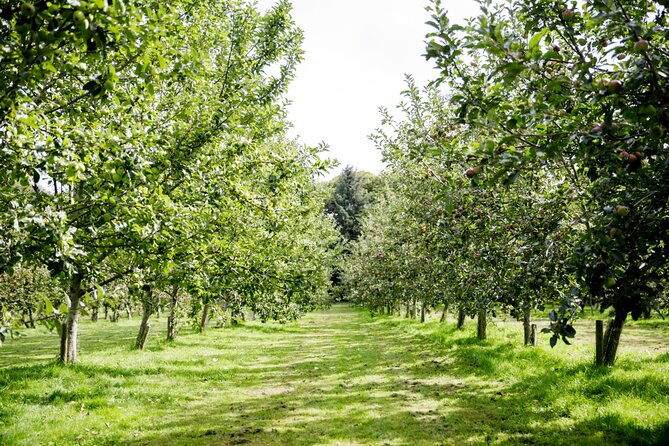 classic-vineyard-distillery-tour-and-tasting-experience-in-jersey