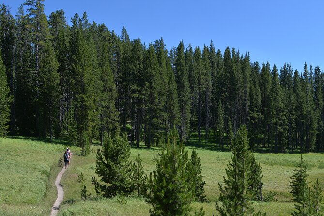 classic-yellowstone-hike-to-the-shores-of-lake-shoshone-private-up-to-8-people