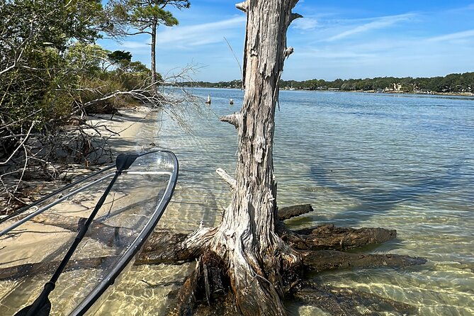 clear-kayak-ecotour-destin-ft-walton-beach-2