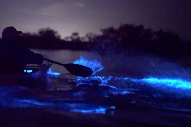clear-kayak-florida-bioluminescence-tour-beacon-42-titusville-2