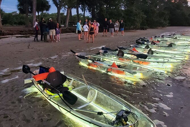 clear-kayak-led-night-glass-bottom-tour-anna-maria-island