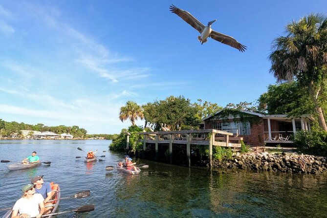 clear-kayak-manatee-viewing-sunset-and-glow-tour-of-crystal-river