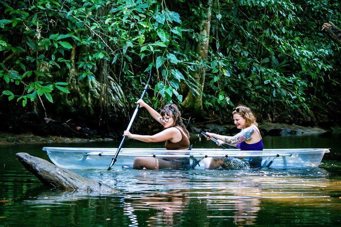 clear-kayak-tour-at-punta-uva