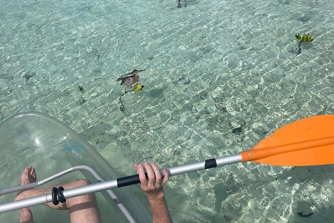 clear-kayak-tour-in-turks-caicos-islands
