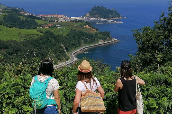 coastal-winery-camino-trail-walking-tour-from-san-sebastian