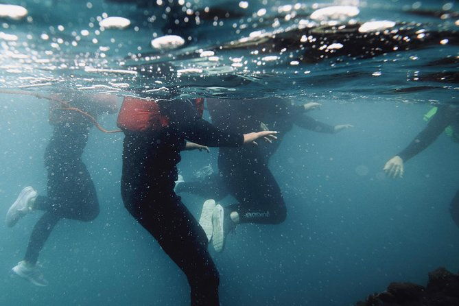 coasteering