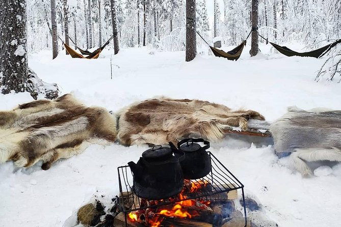 cocooning-in-the-halipuu-forest-the-ultimate-arctic-hammock-relaxation-2
