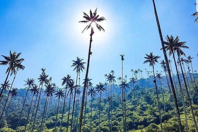 cocora-salento-and-coffee-experience