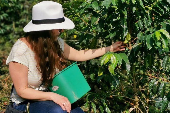 coffee-chocolate-private-tour-in-medellin-genuine-experience