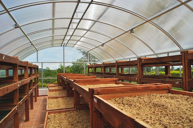 coffee-farm-and-santa-rosa-hot-springs-tour-from-pereira-or-armenia