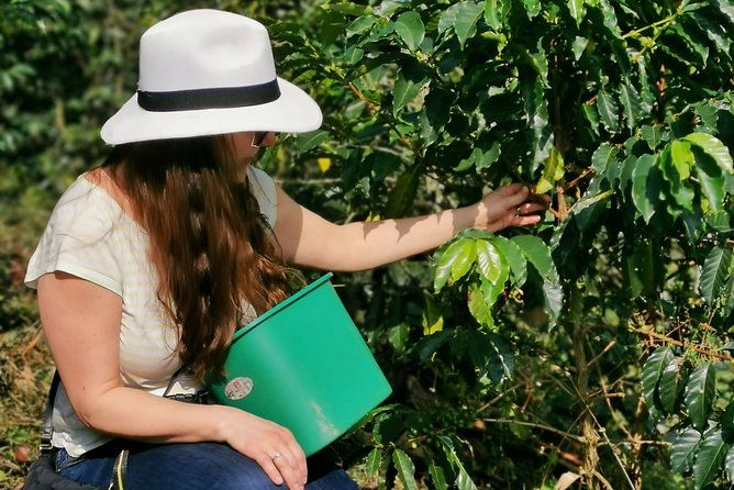 coffee-farm-atvs-private-tour-in-medellin-stunning-views-fun