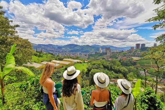 coffee-horses-private-tour-in-medellin-a-fun-authentic-day