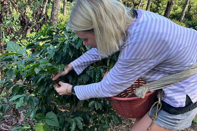 coffee-tour-near-the-agua-volcano-with-tasting