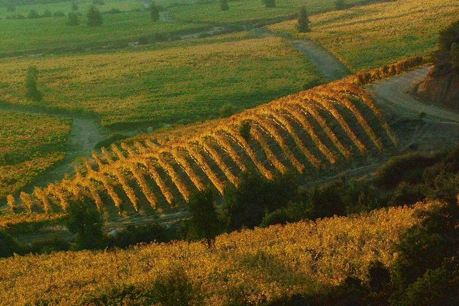 colchagua-valley-winery-day-trip-from-santiago
