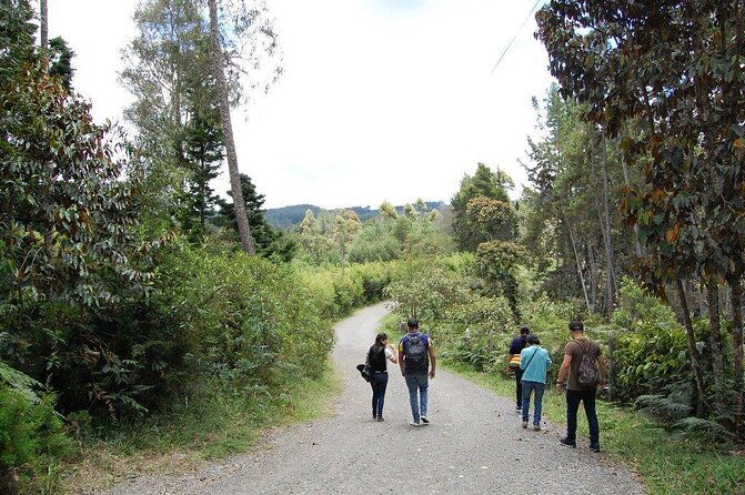 colombiacycling-one-road-tour
