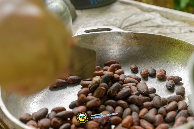 combo-3-manuel-antonio-park-tour-chocolate-tour