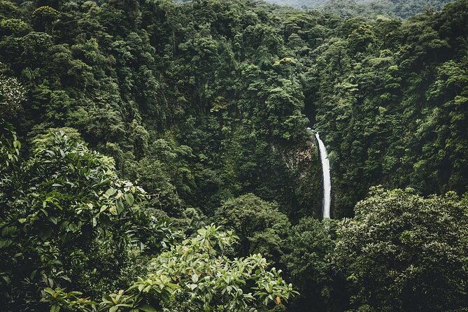 combo-la-fortuna-waterfall-and-volcano-hike-hotsprings