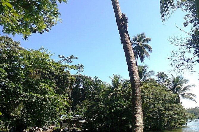 combo-tour-from-puerto-limon