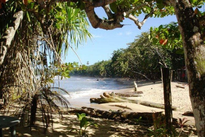 combo-tour-tortuguero-canal-cahuita-national-park