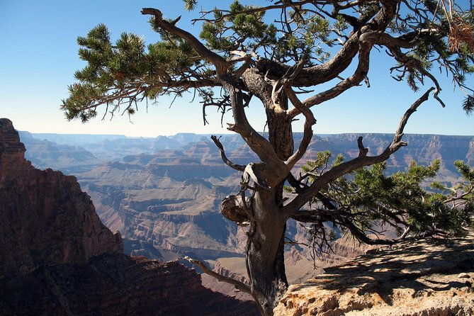 comprehensive-grand-canyon-tour-from-flagstaff