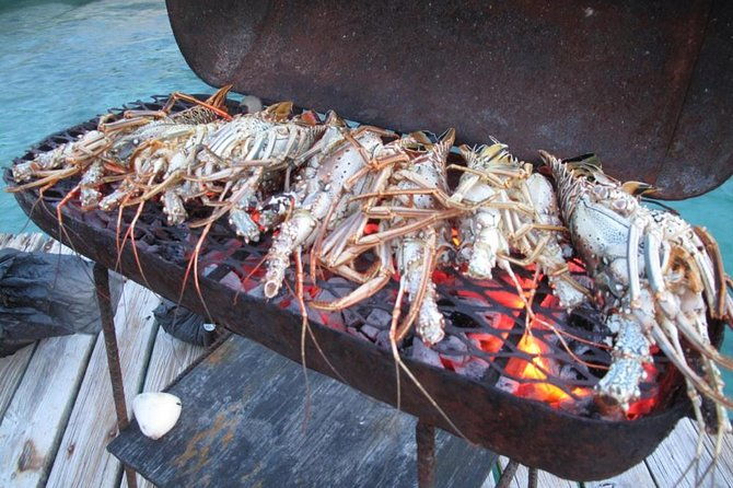 cook-your-catch-private-island-picnic